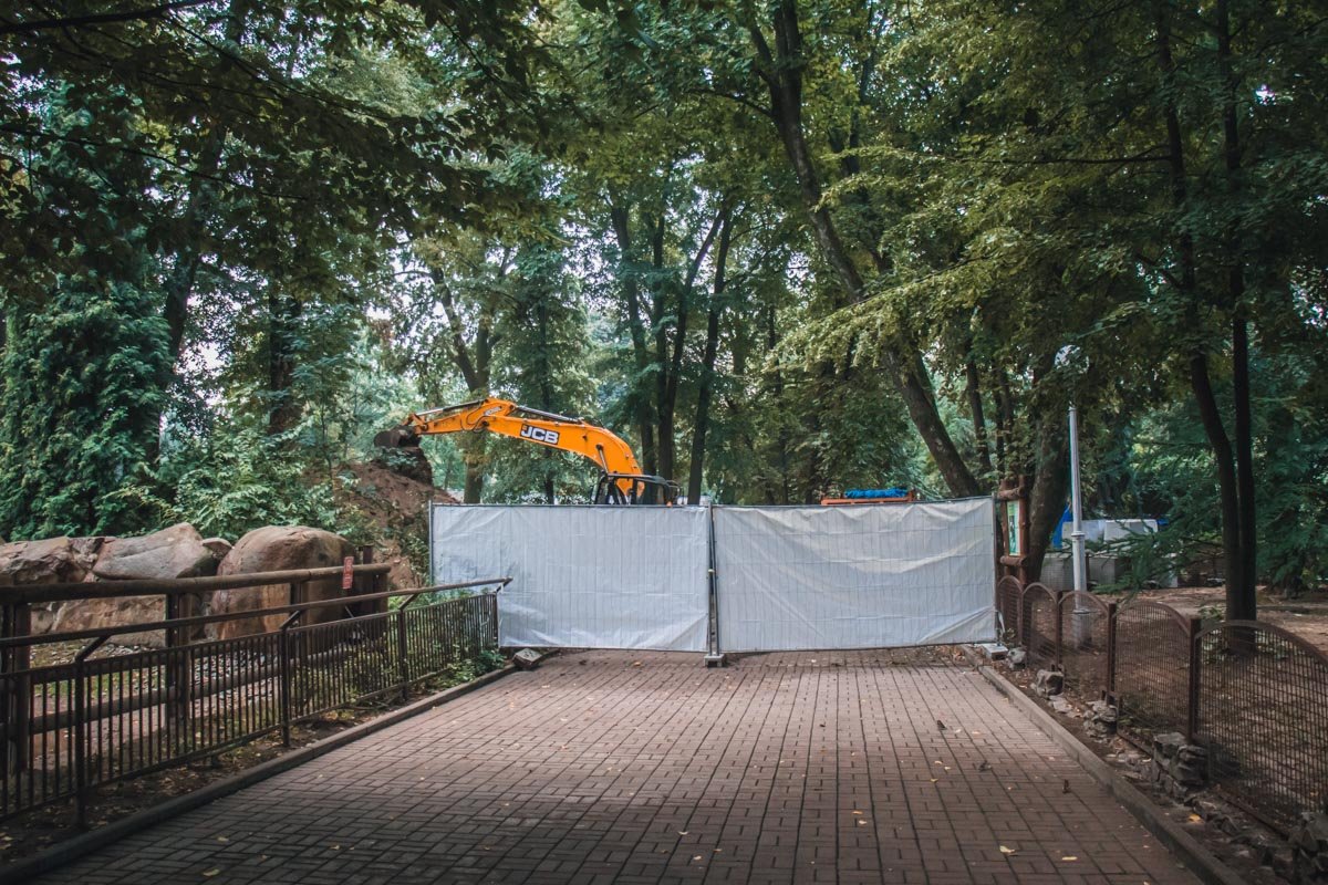 Осенью в зоопарке откроют комплекс, состоящий их трех озер Осенью в зоопарке откроют комплекс, состоящий их трех озер