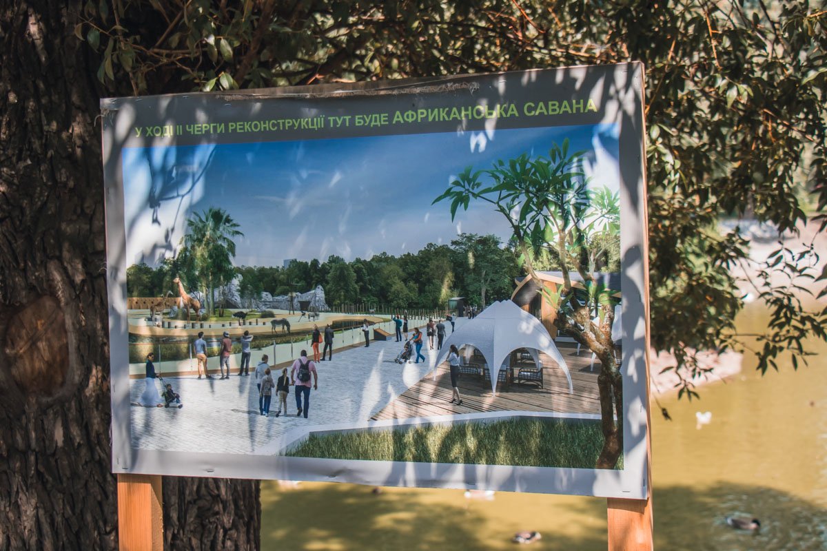 После завершения первой очереди реконструкции, начнется вторая, которую завершат в следующем году После завершения первой очереди реконструкции, начнется вторая, которую завершат в следующем году