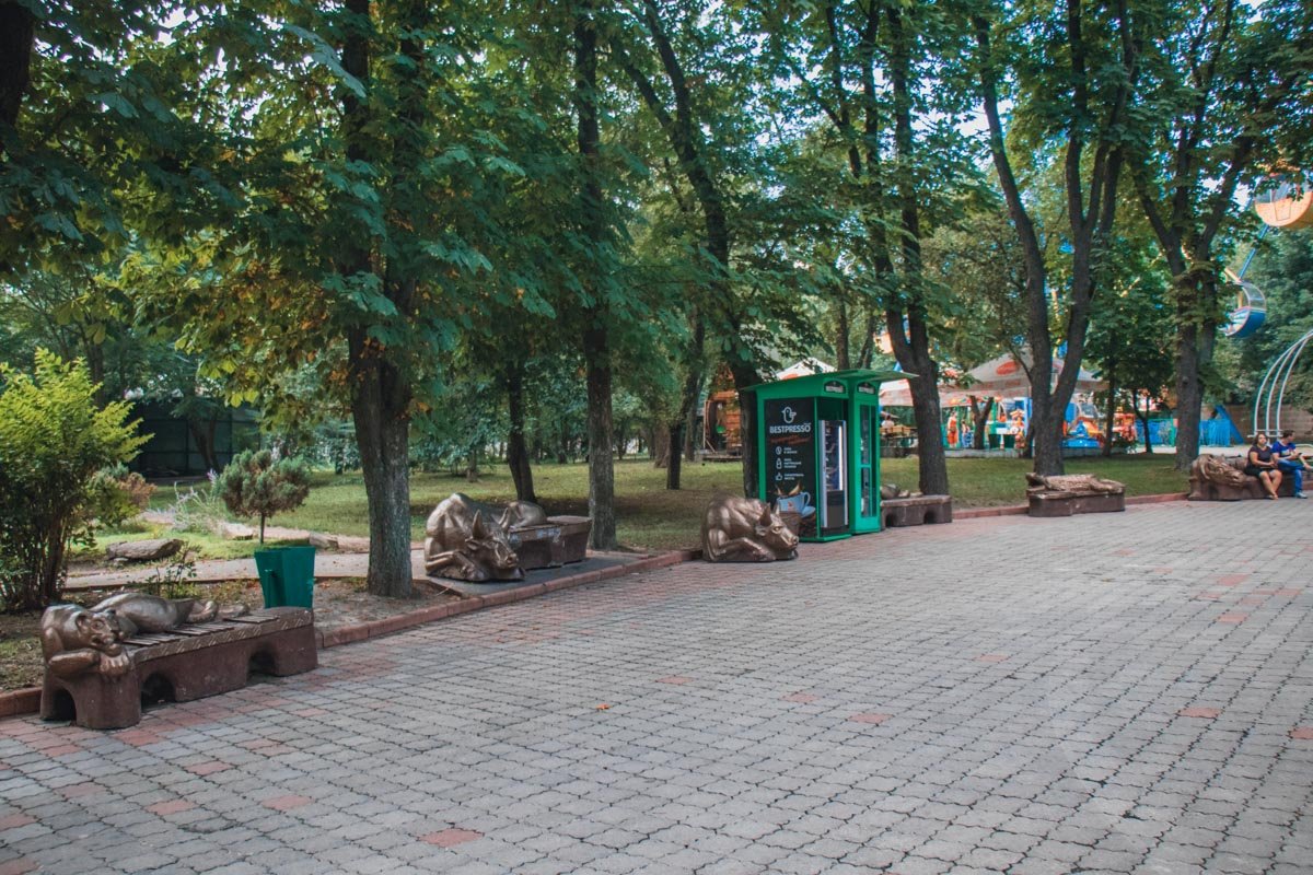 Территорию облагородили Территорию облагородили