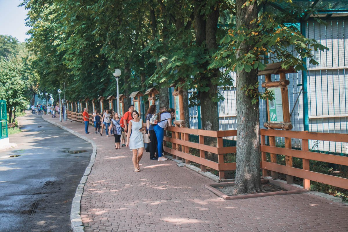 Посетители с удовольствием общаются с животными Посетители с удовольствием общаются с животными