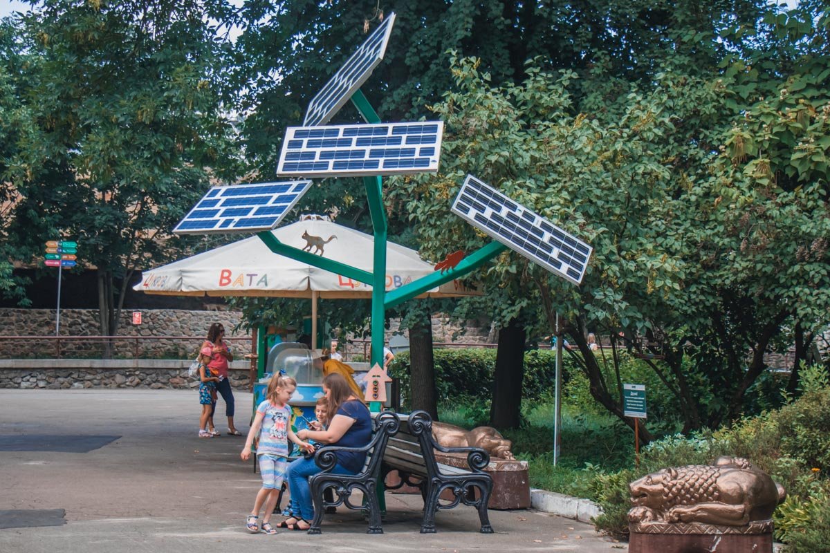 Совсем скоро в зоопарке построят смотровую-амфитеатр с трибунами для представлений, презентаций и лекций Совсем скоро в зоопарке построят смотровую-амфитеатр с трибунами для представлений, презентаций и лекций