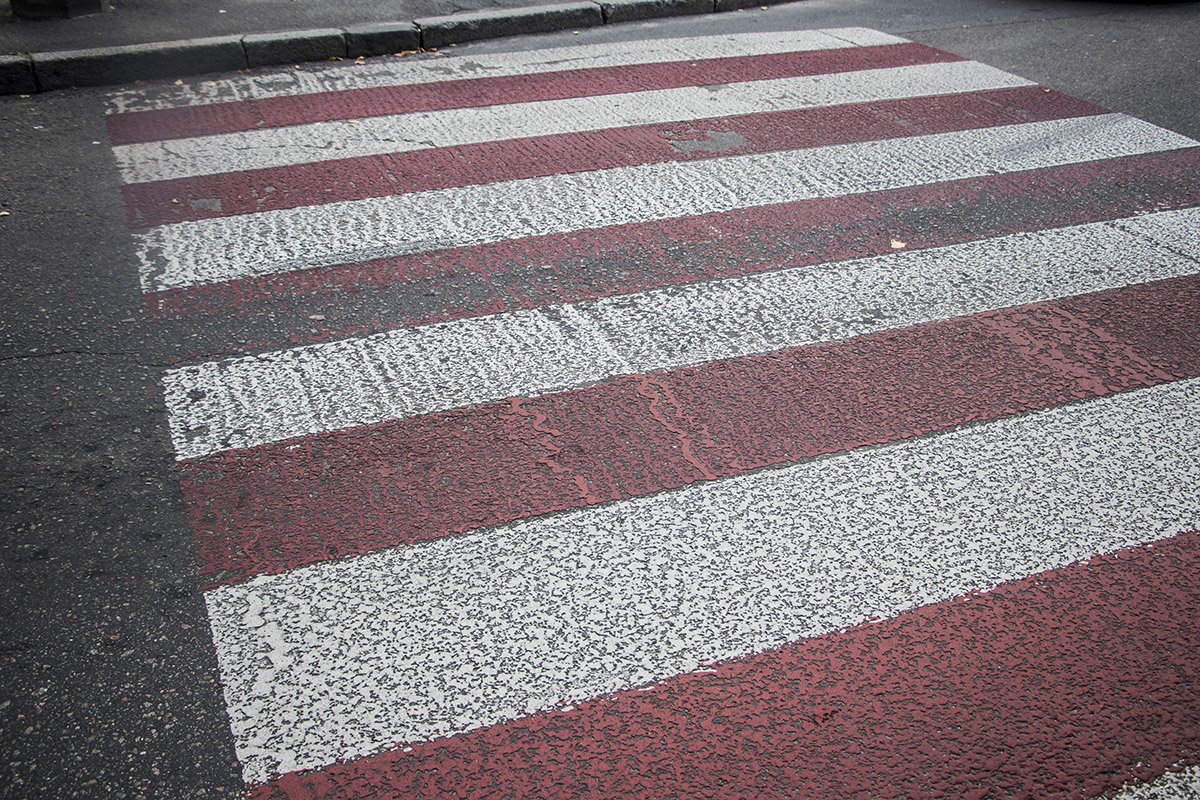 На улице Леонтовича установят дополнительные клумбы вокруг зеленых зон