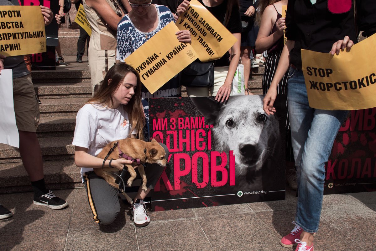 В пятницу, 20 июля, у здания КГГА прошел масштабный митинг зоозащитников