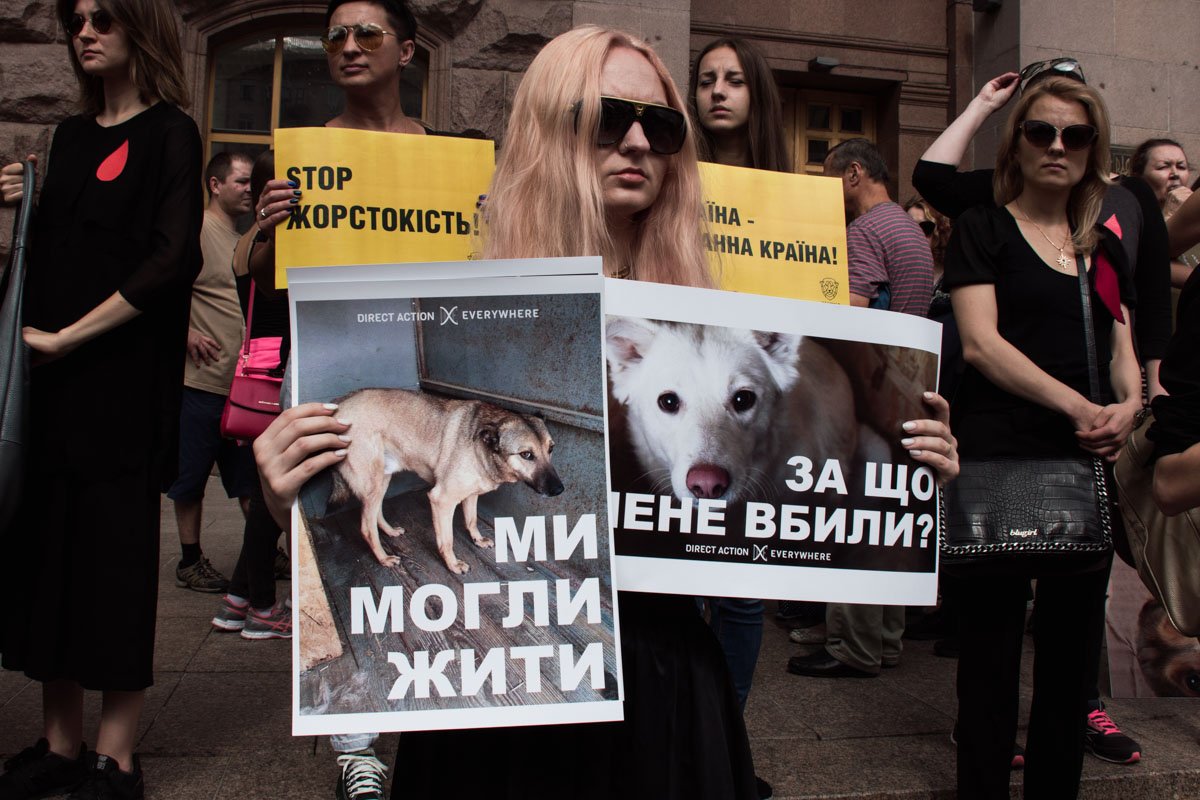 Митинги прошли в 21 городе Украины