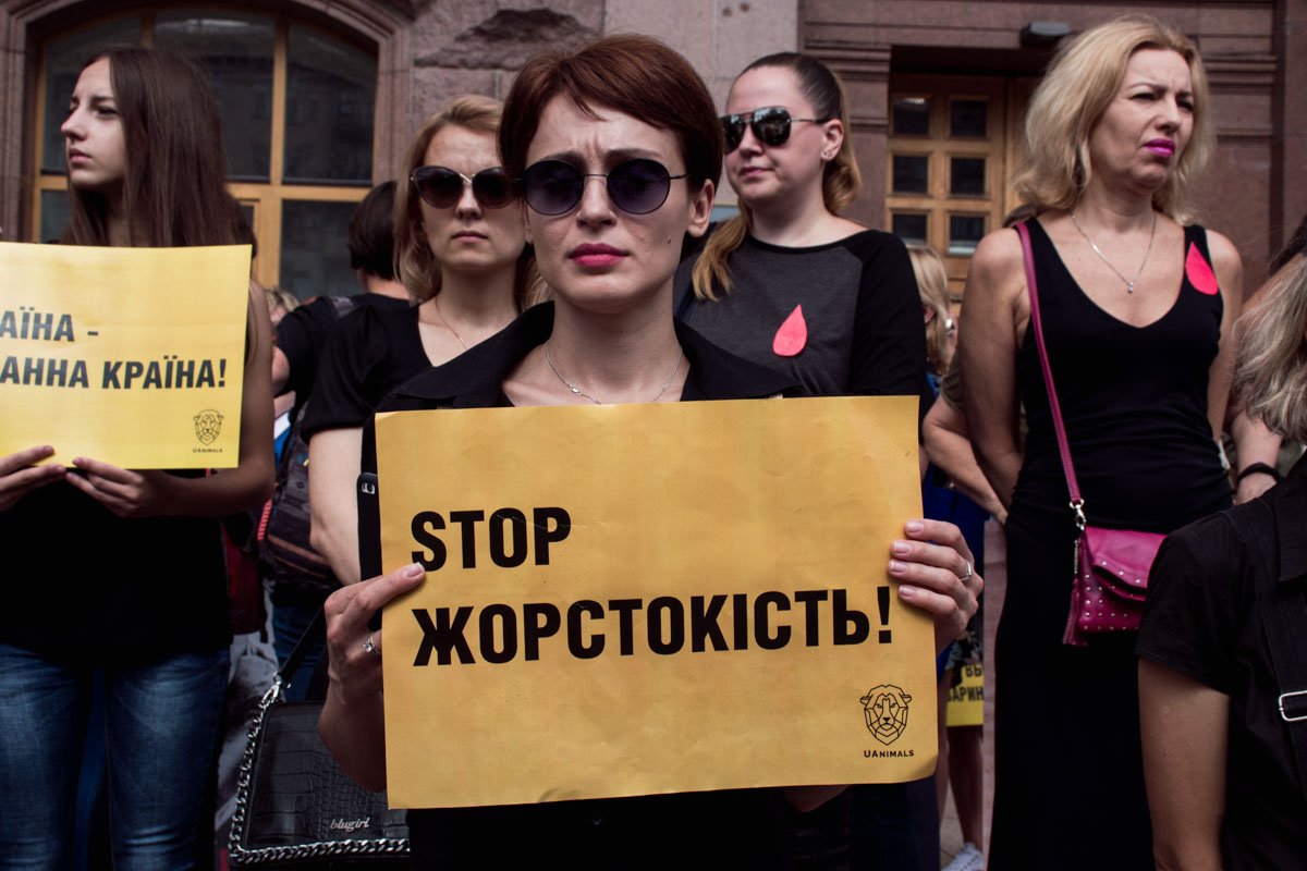 В Николаеве на коммунальном предприятии Центр защиты животных провели эвтаназию 100 взрослым собакам и 50 щенкам