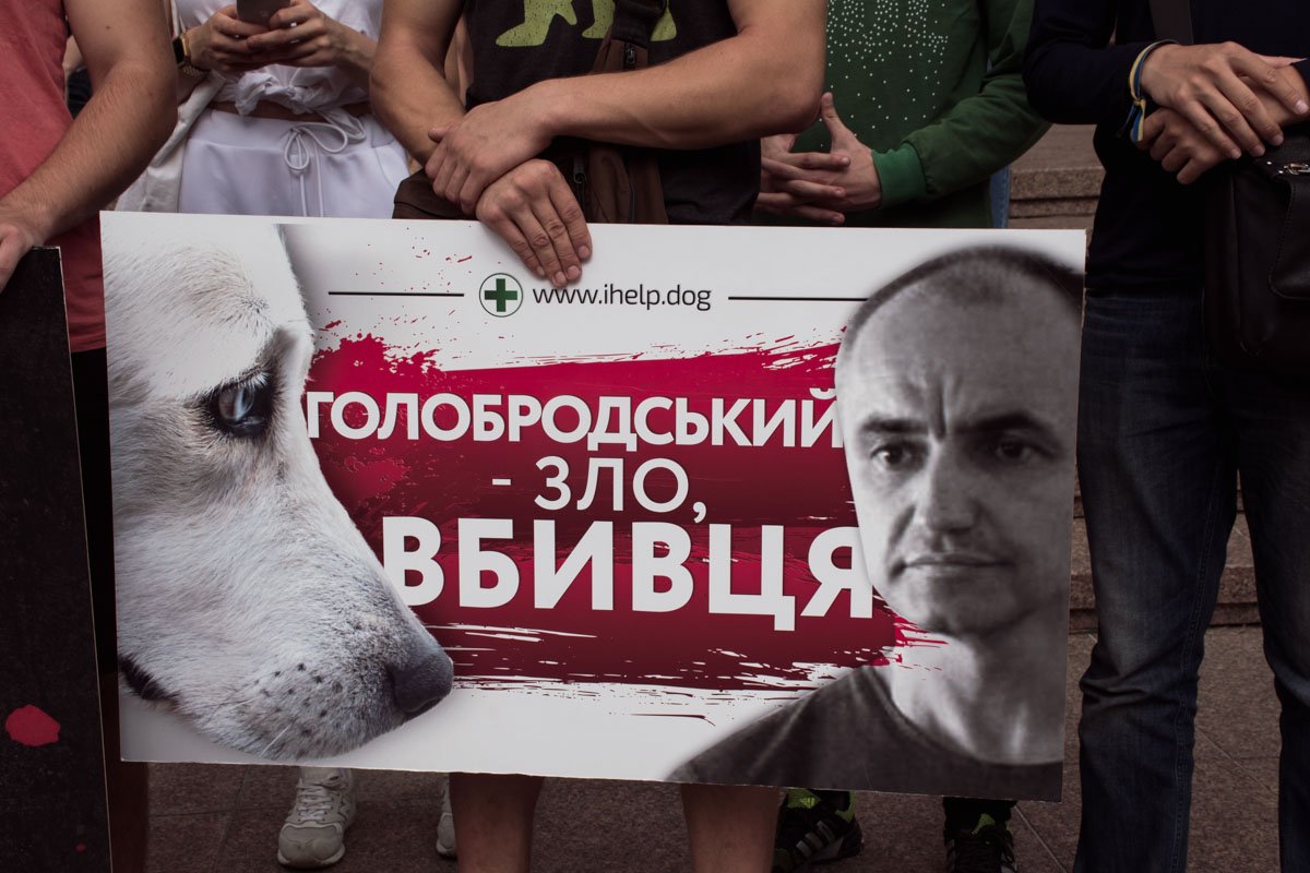 На самом предприятии подтвердили информацию об усыплении. Однако сказали, что усыпили не 150, а 70 собак