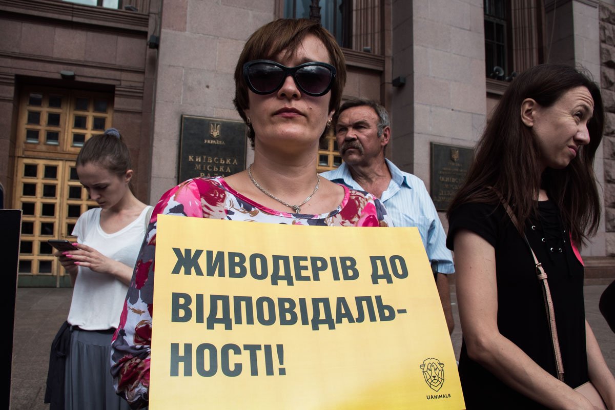 Активисты также обратили внимание местных властей на другие проблемы издевательств над животными