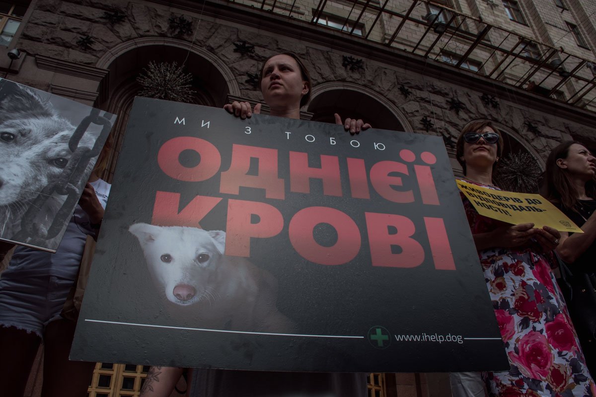 На митинге выступили за запрет дельфинариев, использования зверушек в цирке, ношения меховых изделий