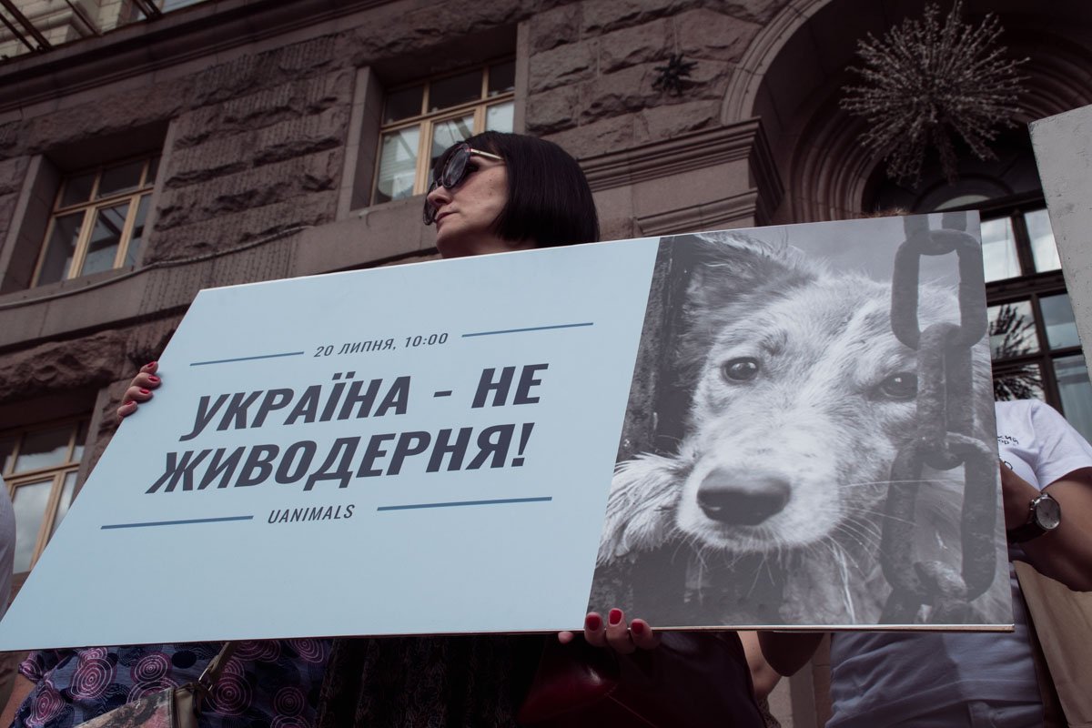 Напомнили также и о деле известного киевского догхантера Алексея Святогора