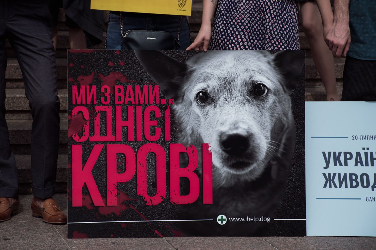 Участники акции собрали подписи под обращением к президенту Украины.