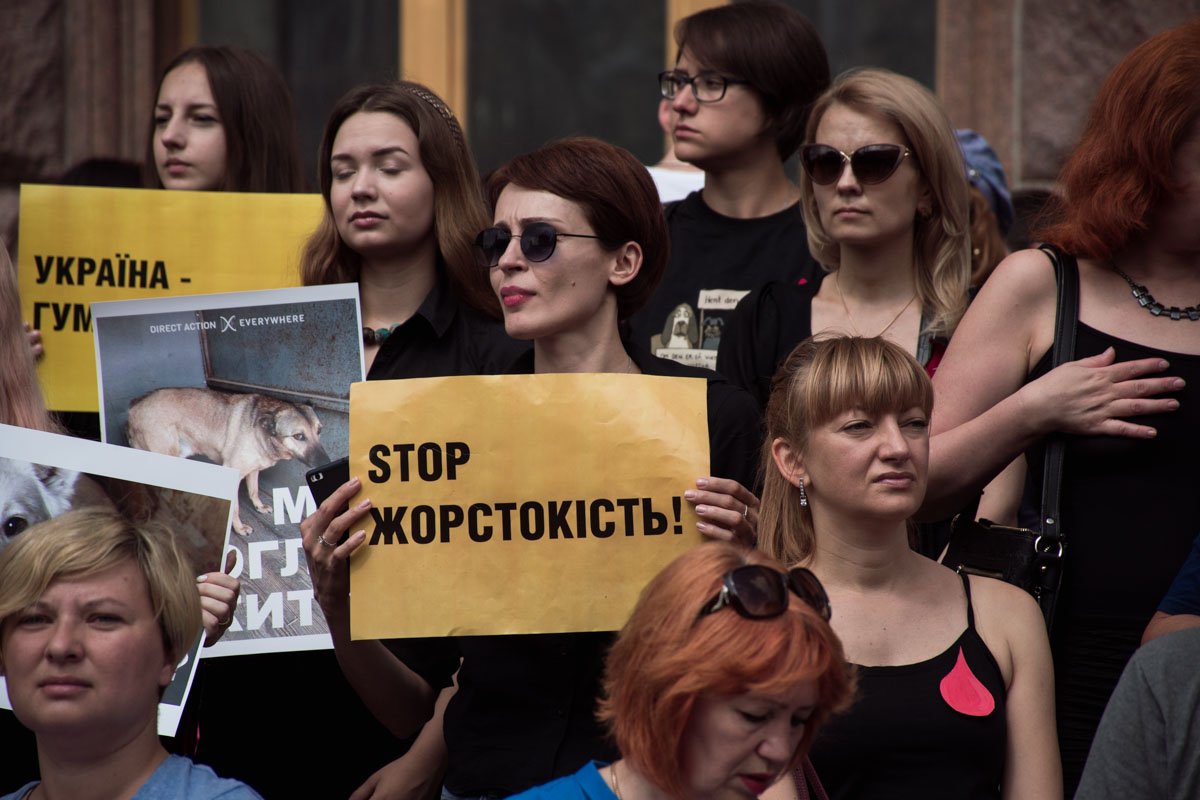 Святогор на данный момент находится под домашним арестом