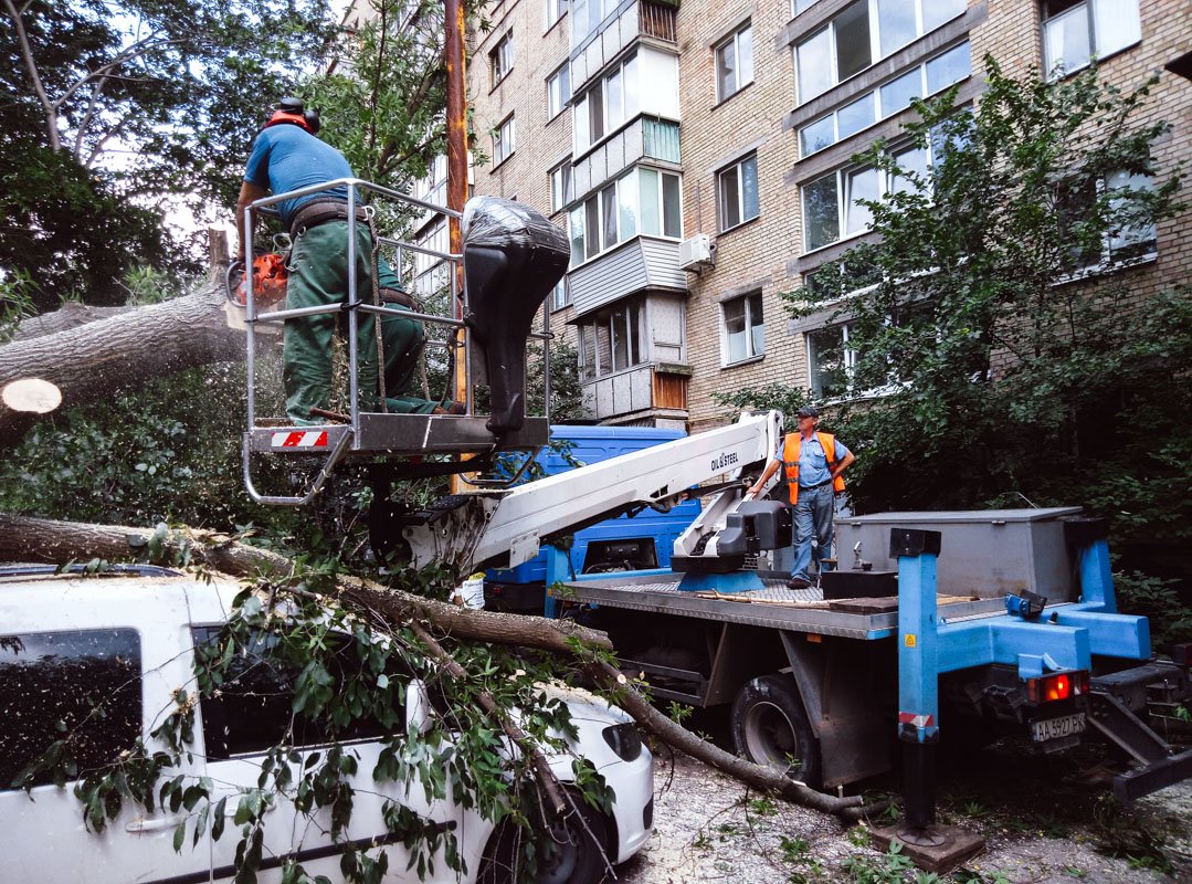 Водитель обнаружил свой автомобиль под упавшим деревом утром, когда вышел во двор