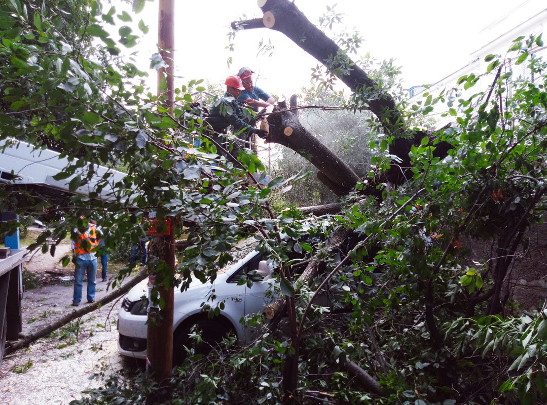 Мужчина сообщил, что автомобиль не его собственный, а находится на балансе компании, в которой он работает