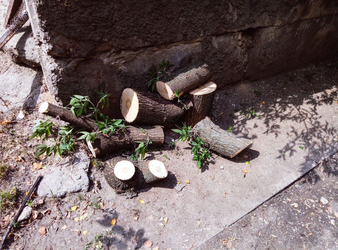 Владелец Volkswagen ищет варианты для возмещения ущерба от служб, отвечающих за территорию