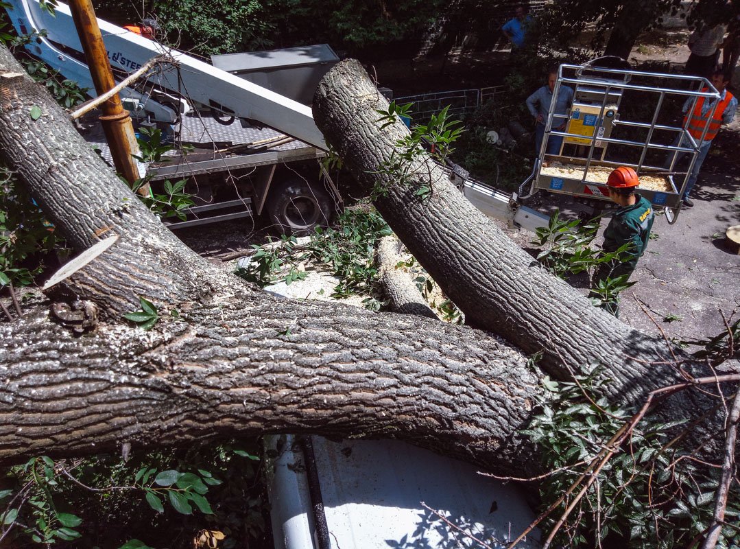 Коммунальщики распиливают дерево