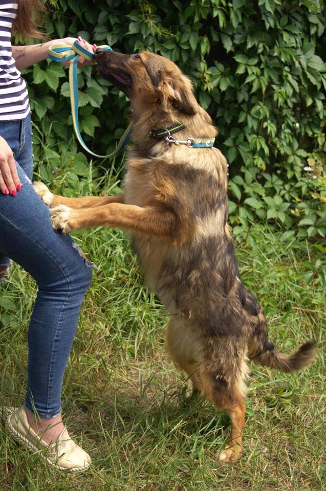 Сэнди ждет именно вас! Сэнди ждет именно вас!