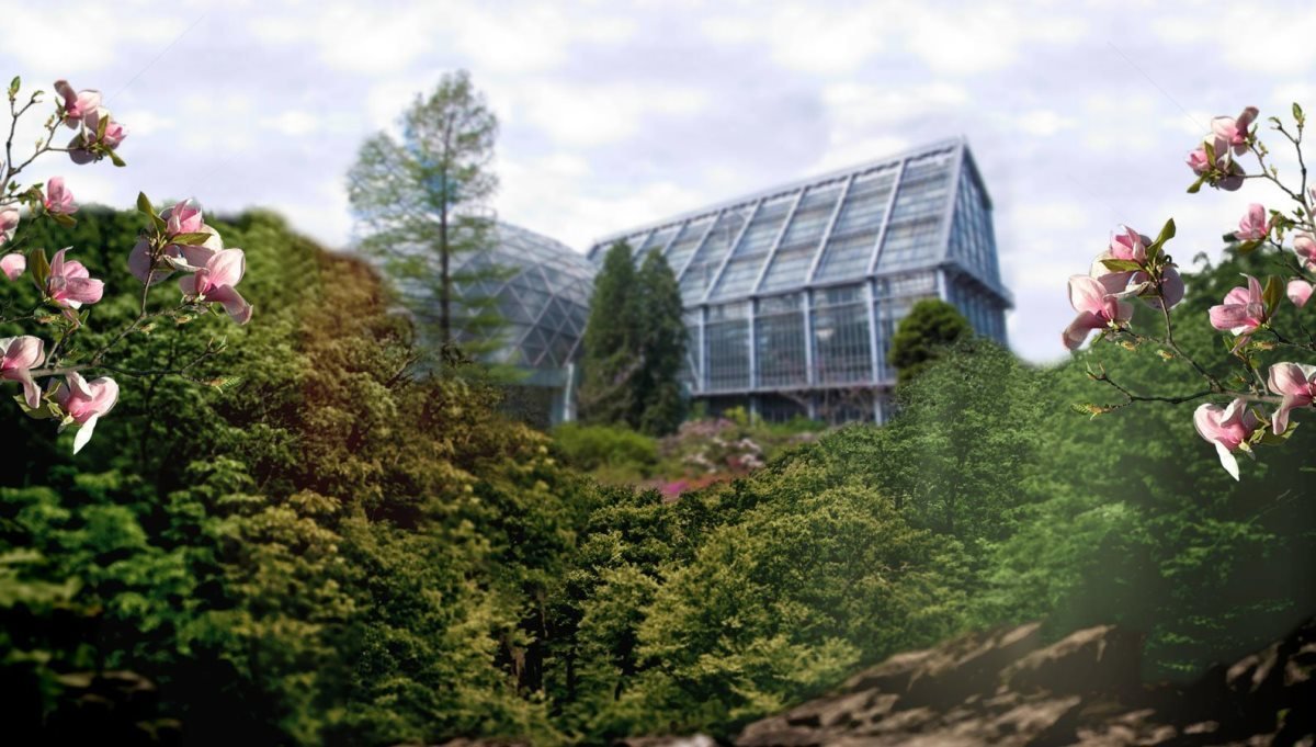 Ботанический сад имени Фомина