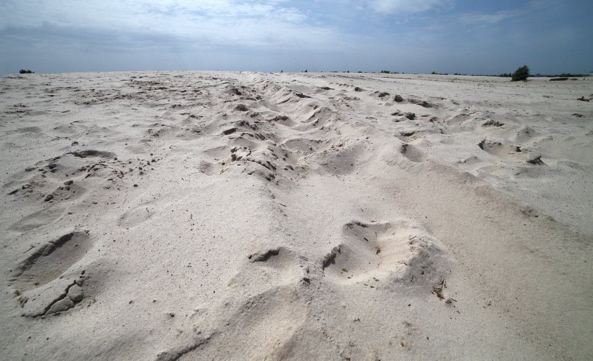 Киевская Сахара