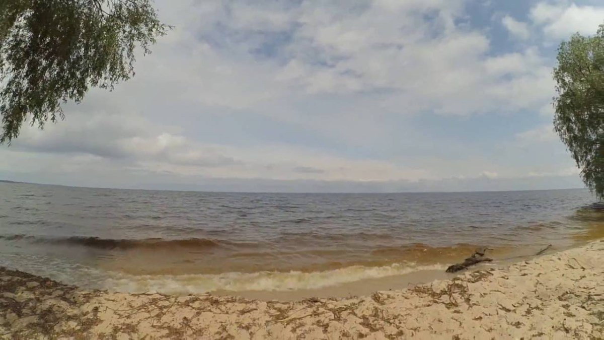 Лебедевка Лебедевка