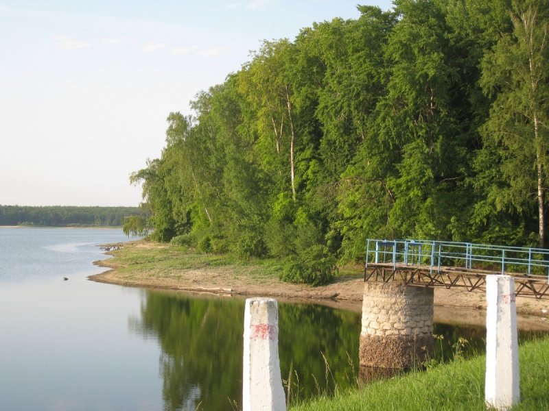 Корнин Корнин