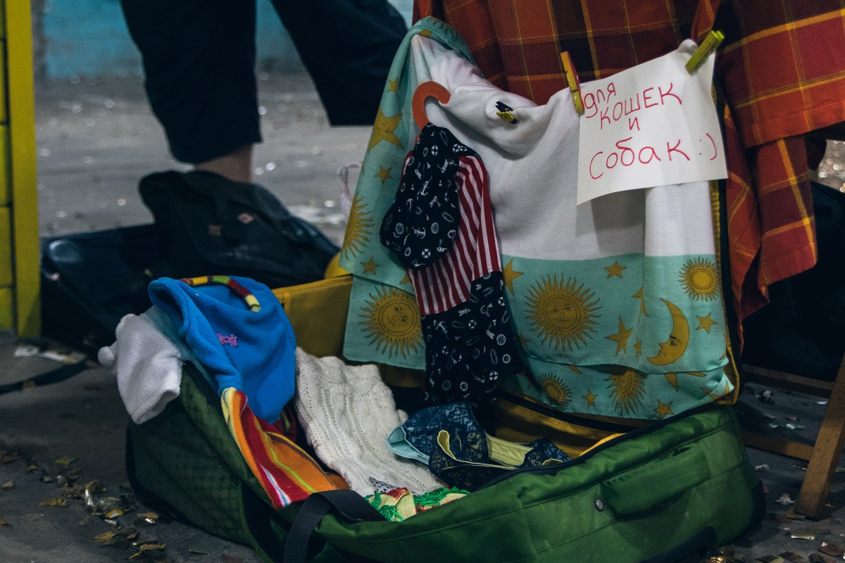 И для хвостатых модниц тоже рай И для хвостатых модниц тоже рай