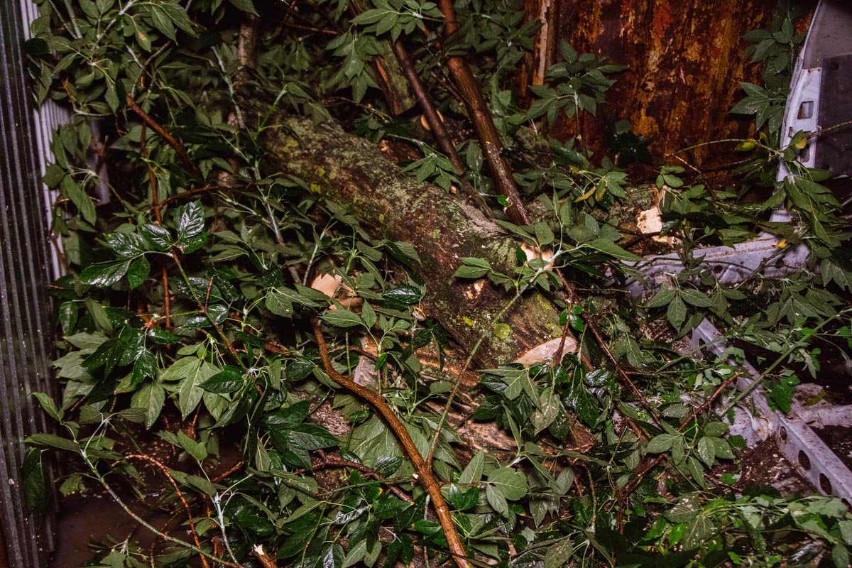 В Киеве по адресу улица Сырецкая, 33г дерево упало на шиномонтаж