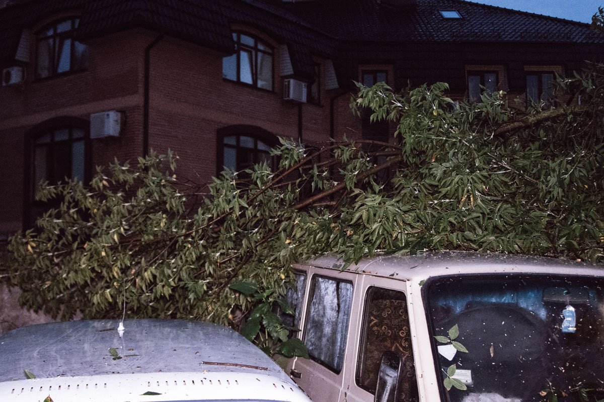К счастью, припаркованные автомобили не повредило, однако ветки упали на машины