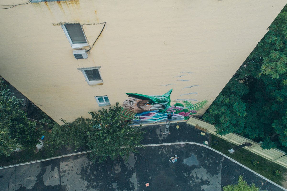 Мудрая сова поселилась в самом центре Киева Мудрая сова поселилась в самом центре Киева