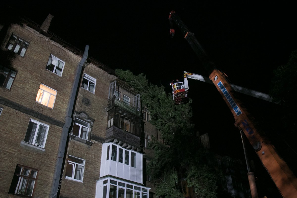 С помощью бензопилы они поэтапно разрезали дерево и убирали его со здания