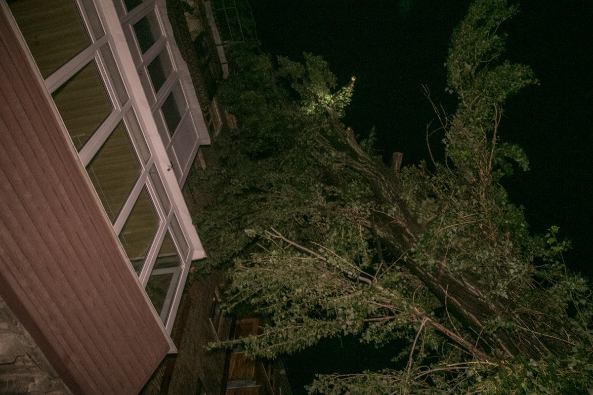 Дерево повредило только крышу дома и балконы 