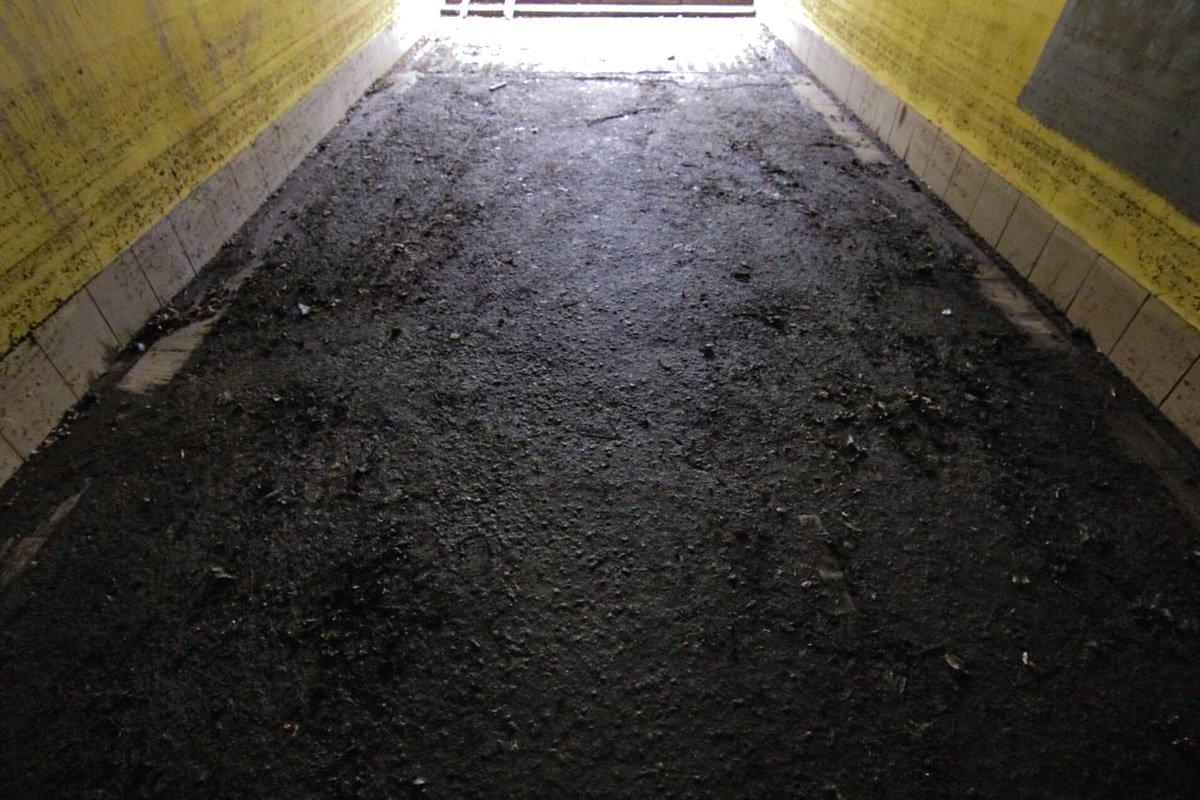 Как выглядит подземный переход на "Шулявской" в Киеве после потопа 5