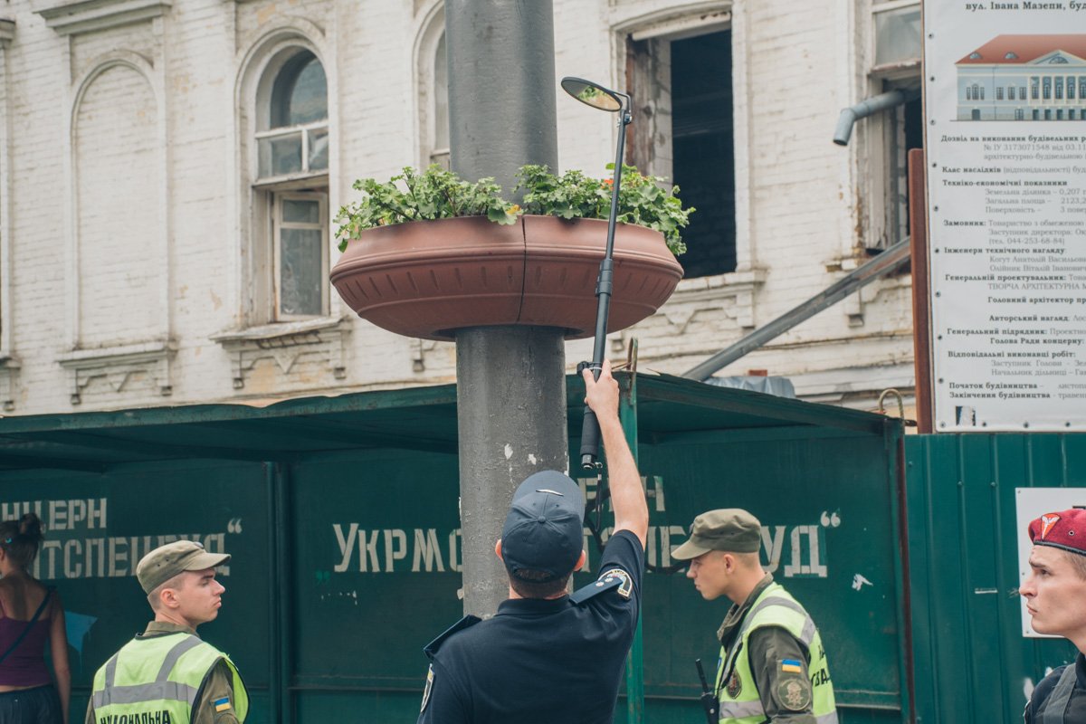 Наблюдая за шествием Наблюдая за шествием