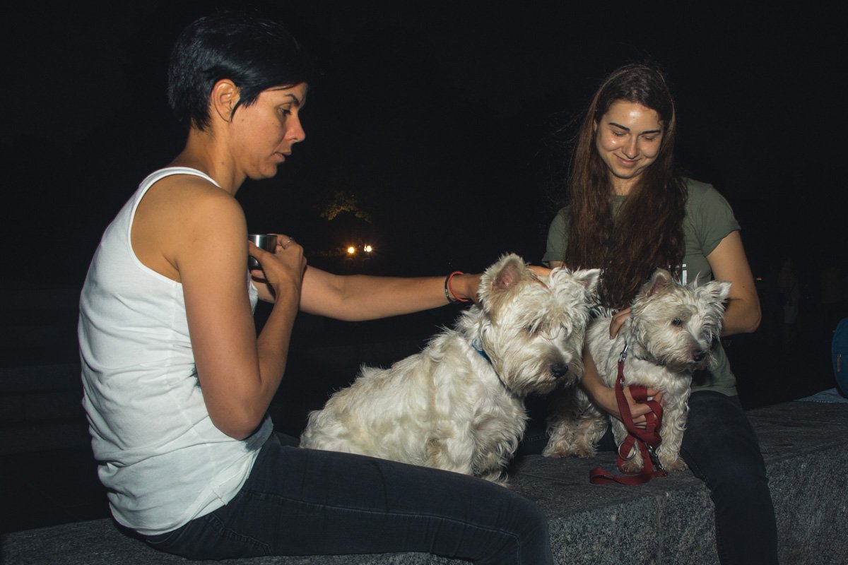 Этим красавцам все равно, увидят они "кровавую" луну или нет 