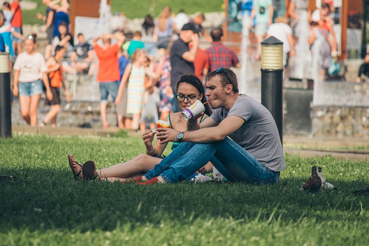 А голуби начеку... А голуби начеку...