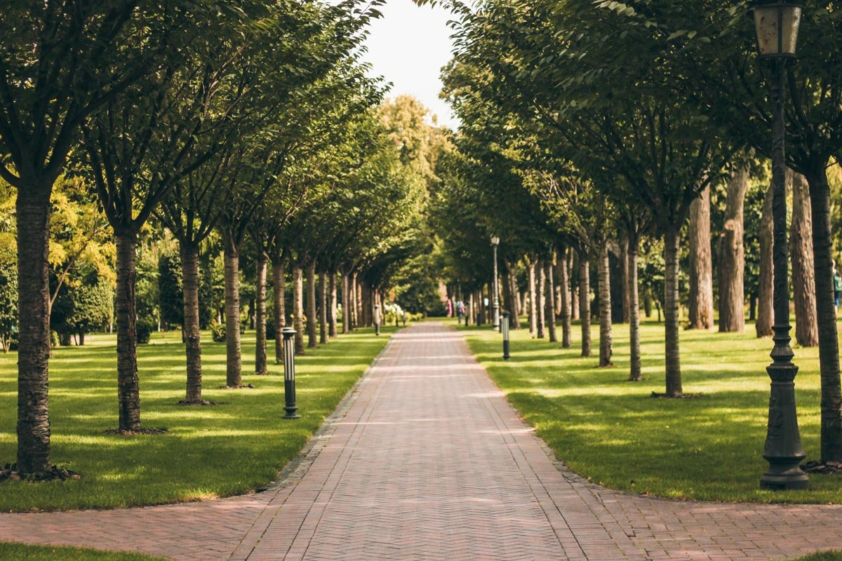 Райское местечко площадью в 140 гектаров радует изобилием флоры и фауны