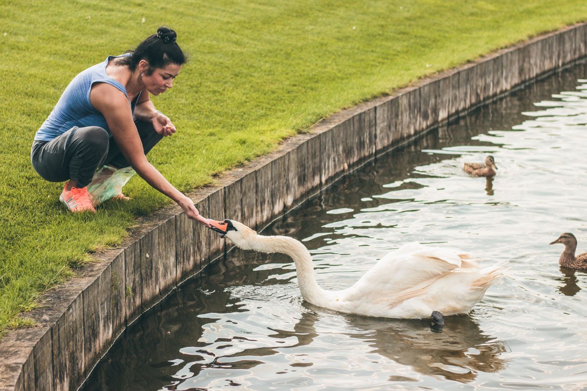 Неспроста общение с животными считается "таблеткой" против стрессов и усталости 