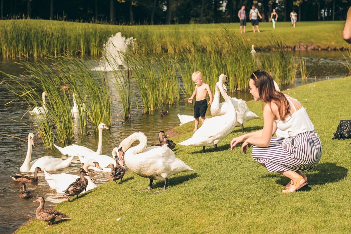Здесь будет весело даже деткам