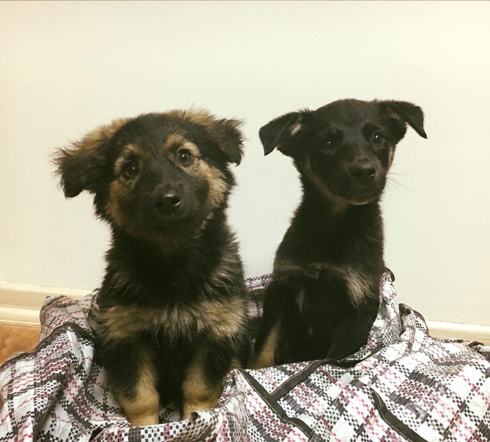 Двойное счастье ждет! Двойное счастье ждет!