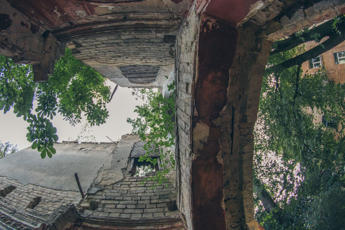 Посмотри вверх