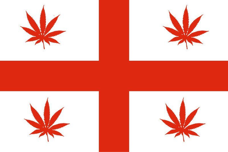 До решения суда в Грузии наказывали за употребление марихуаны штрафом до 500 лари