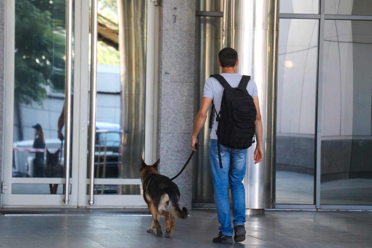 Служебные собаки ищут взрывчатку в здании суда Служебные собаки ищут взрывчатку в здании суда