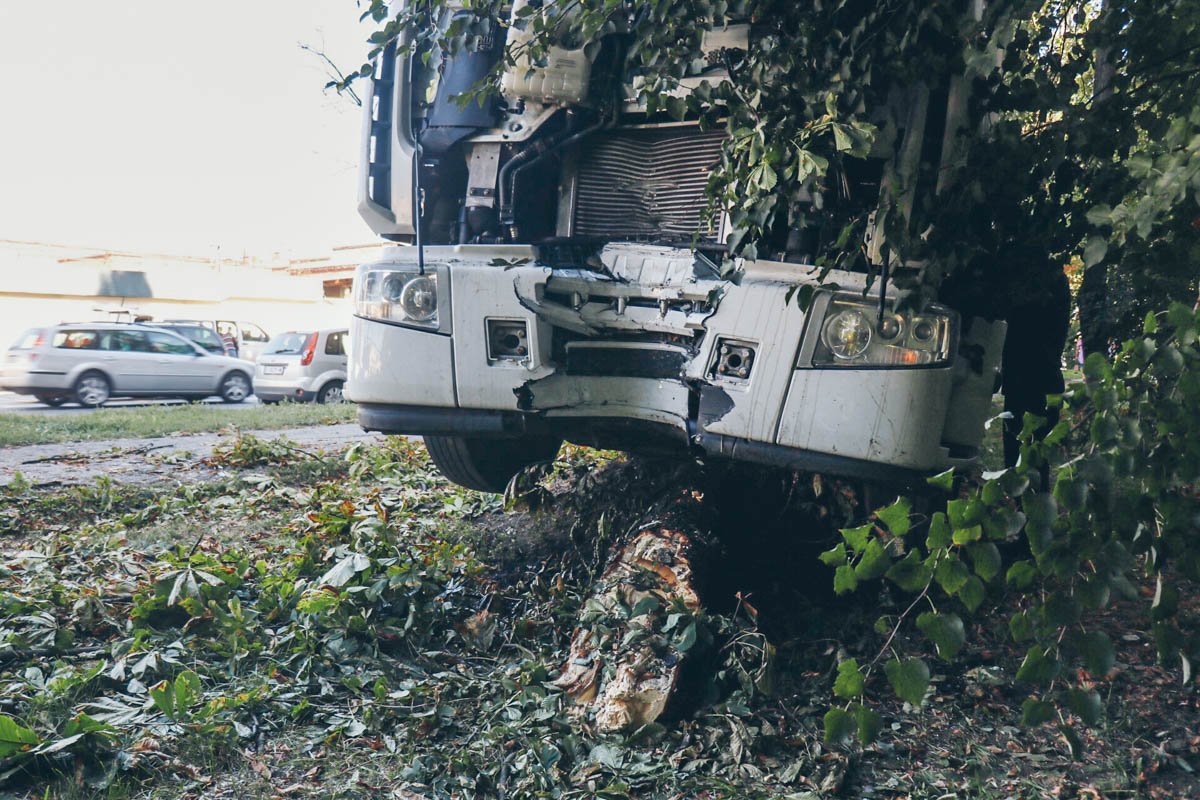 Фура вылетела с проезжей части и снесла деревья