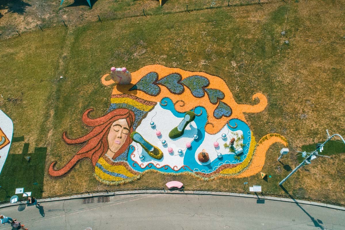 На Певческом поле в Киеве стартует 64-я выставка цветов На Певческом поле в Киеве стартует 64-я выставка цветов