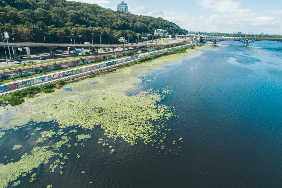С приходом лета Днепр начинает "цвести" 