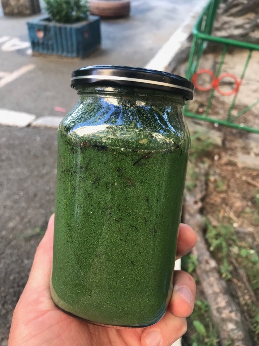 Фотографию цветущей воды нам в редакцию прислал пресс-секретарь Ассоциации рыболовов 