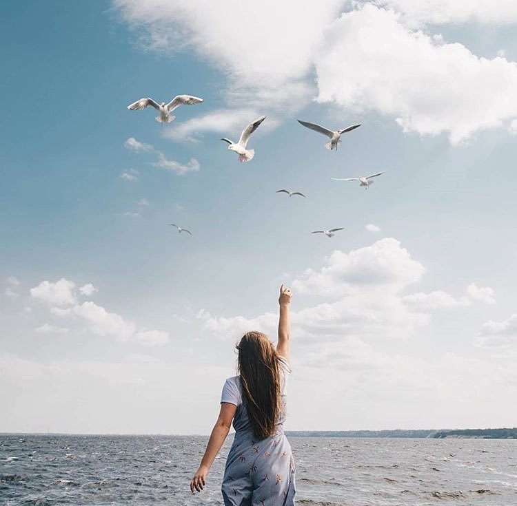 Интересно, что могут рассказать птицы? Фото @dima_yermolenko Интересно, что могут рассказать птицы? Фото @dima_yermolenko