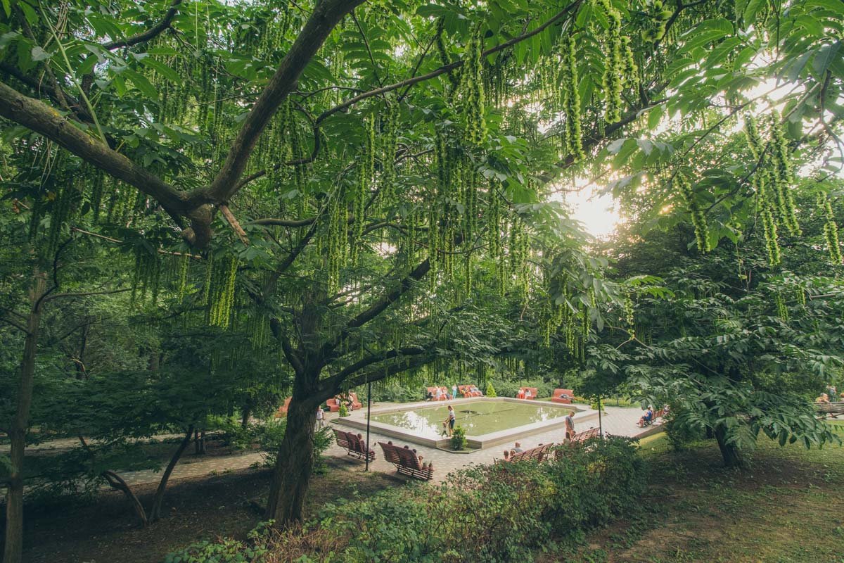 Территория сада разделена на парковую и научную зону