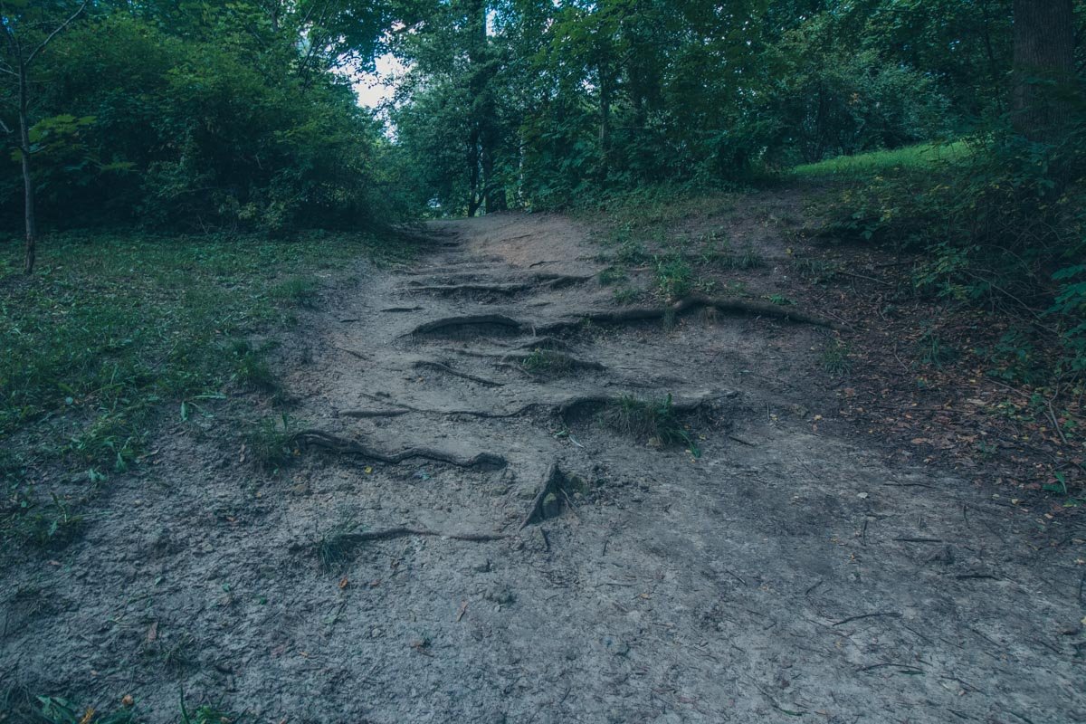 В саду можно бесплатно гулять хоть целый день