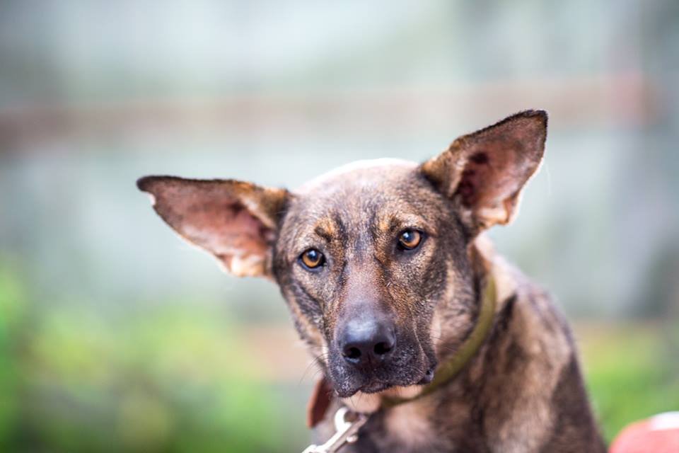 Фара влюбляет в себя в первой встречи. Убедитесь сами!