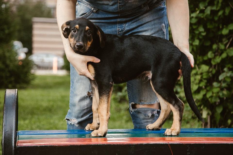 Бублик совсем крохотный и хочет поскорее обрести семью
